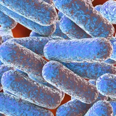 Morganella: 5 objawów infekcji i skuteczne metody leczenia