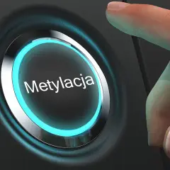 Zaburzenia metylacji: 7 objawów których nie możesz ignorować