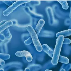 Probiotyk LGG: 7 zastosowań które cię zaskoczą