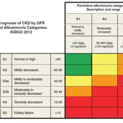 Tabela prognozy PChN wg kategorii GFR i albuminurii KDIGO 2012. Kolory wskazują ryzyko: zielony (niskie), żółty (umiarkowane), pomarańczowy (wysokie), czerwony (bardzo wysokie).