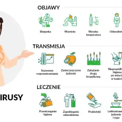 Wirusowe zakażenie przewodu pokarmowego: 5 głównych objawów