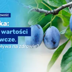 Ile kalorii ma śliwka: Poznaj wartość odżywczą świeżych i suszonych owoców
