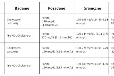 Jak skutecznie obniżyć cholesterol nie-HDL i cieszyć się lepszym zdrowiem