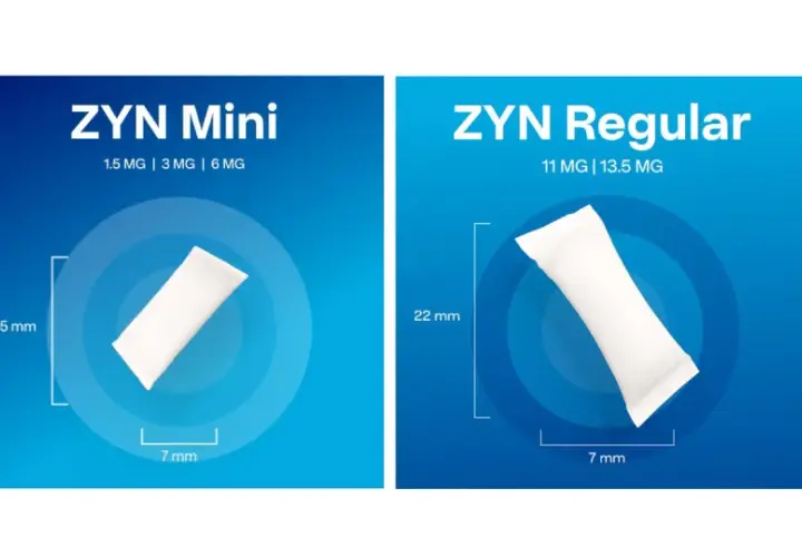 Porównanie rozmiarów i mocy ZYN Mini (15 mm, 1.5-6 mg) i ZYN Regular (22 mm, 11-13.5 mg).