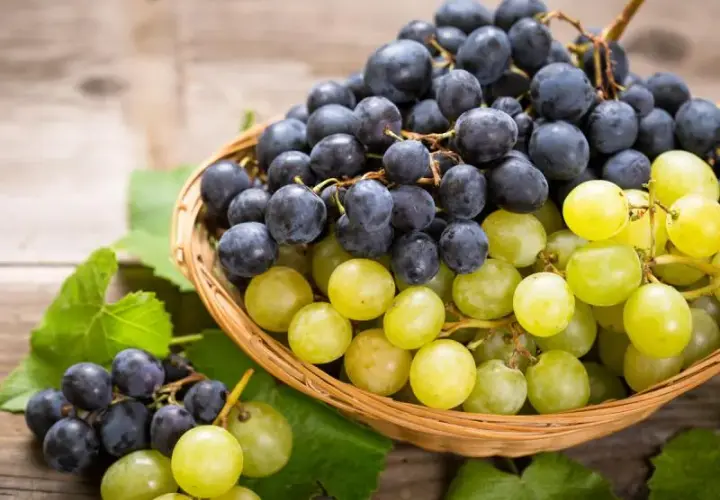 Kaloryczność 1 kg winogron: zaskakująca prawda o wartościach odżywczych