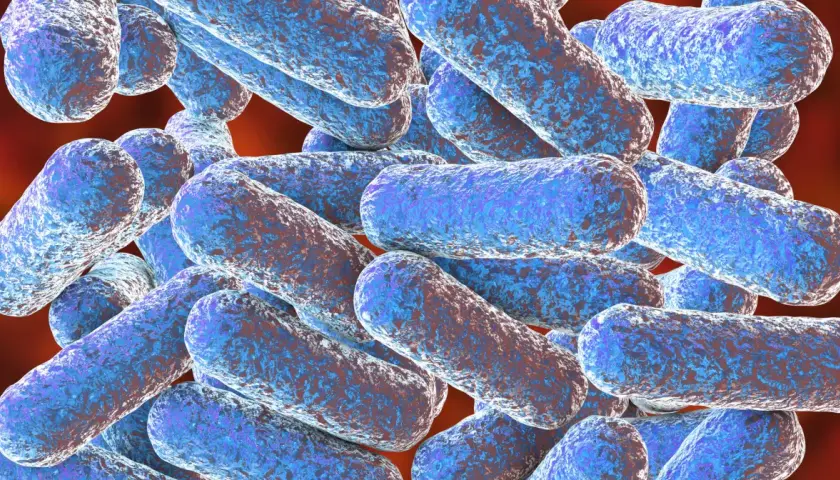 Morganella: 5 objawów infekcji i skuteczne metody leczenia