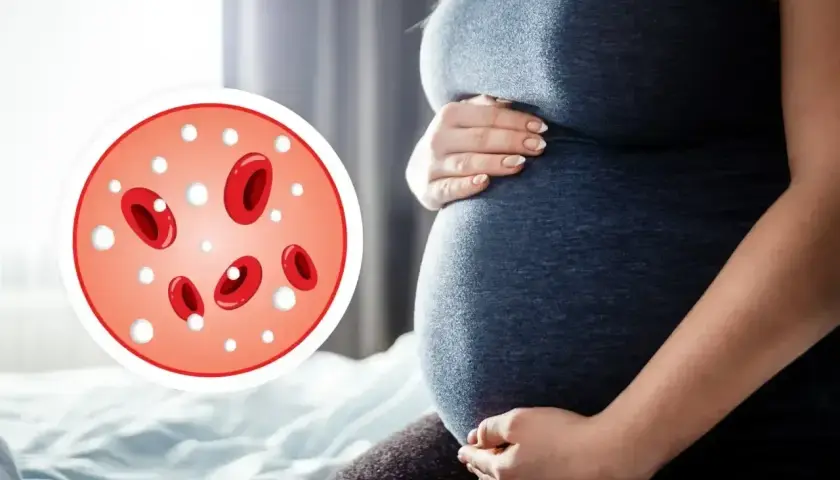 Ciąża i obraz mikroskopowy z czerwonymi krwinkami i białymi kropkami, sugerującymi leukocyty podwyższone.