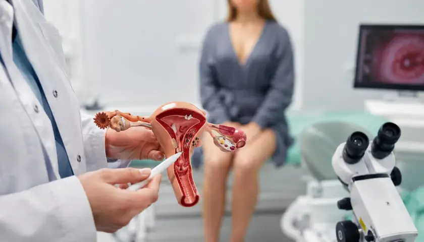 Lekarz pokazuje model narządów rodnych, wskazując na obszar, który może być dotknięty nadżerką. Pacjentka siedzi w tle.
