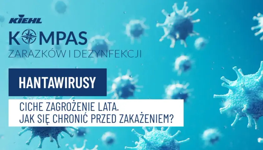 Hantawirusy: ciche zagrożenie lata. Dowiedz się, jak się chronić przed zakażeniem i jego objawami.