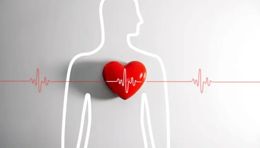 Czerwone serce z linią EKG na tle zarysu ludzkiej sylwetki. Symbolizuje zdrowie i bicie serca, jakby w naszych "potach" życia.