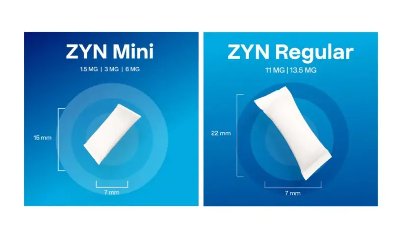 Porównanie rozmiarów i mocy ZYN Mini (15 mm, 1.5-6 mg) i ZYN Regular (22 mm, 11-13.5 mg).
