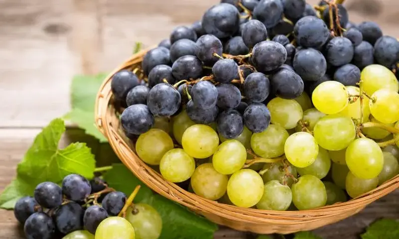 Kaloryczność 1 kg winogron: zaskakująca prawda o wartościach odżywczych