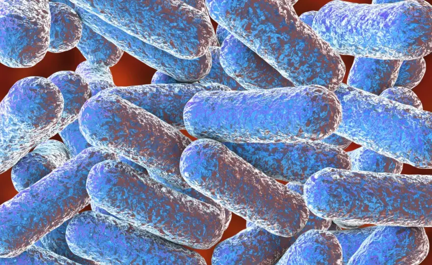 Morganella: 5 objawów infekcji i skuteczne metody leczenia