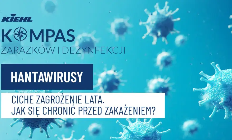 Hantawirus - objawy jak grypa? Kiedy to alarm?