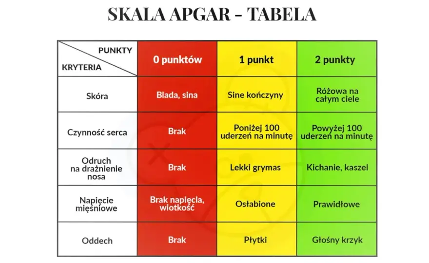 Skala Apgar u noworodka - jak czytać wynik?