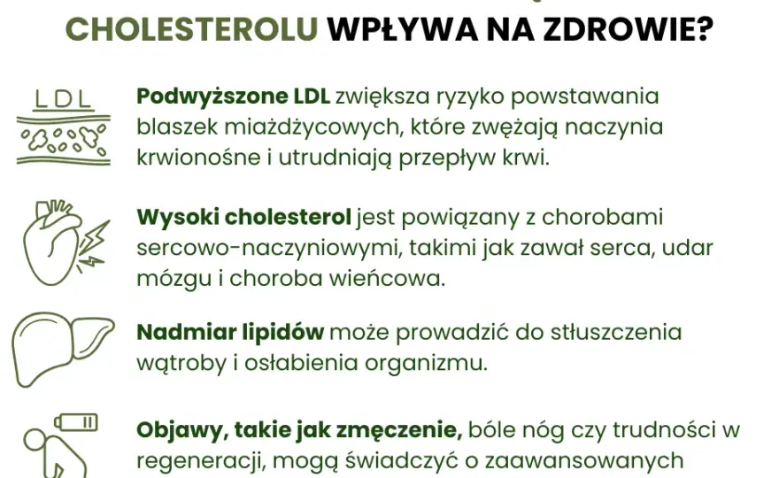 W czym jest najwięcej cholesterolu i jak to wpływa na zdrowie?