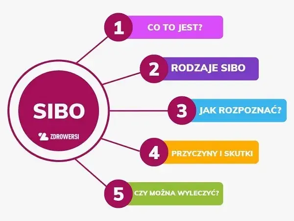 Czym jest SIBO? 5 kluczowych faktów o tej chorobie jelit