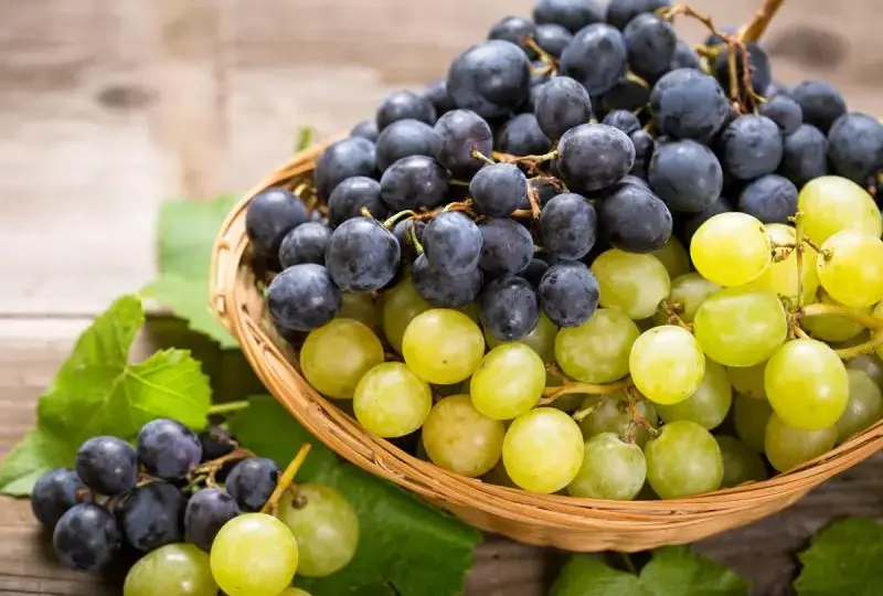 Kaloryczność 1 kg winogron: zaskakująca prawda o wartościach odżywczych