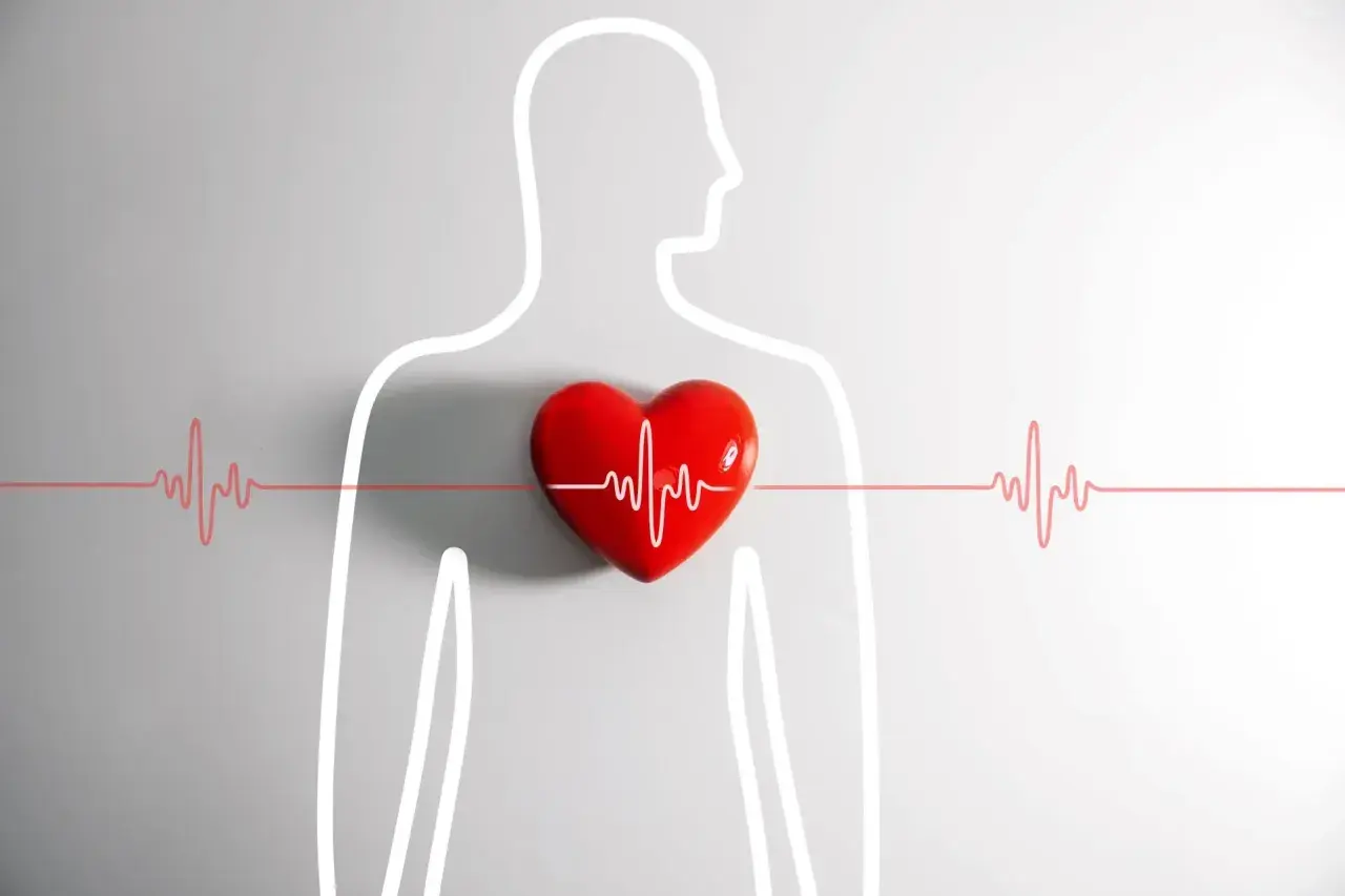 Czerwone serce z linią EKG na tle zarysu ludzkiej sylwetki. Symbolizuje zdrowie i bicie serca, jakby w naszych "potach" życia.