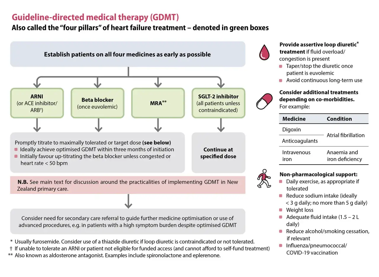 Schemat GDMT dla niewydolności serca: ARNI, beta-bloker, MRA (np. spironol), SGLT-2. Leczenie diuretykami pętlowymi, wsparcie niefarmakologiczne.